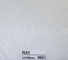 Ray 6601 Ray 6601