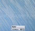 Ray 6613 Ray 6613