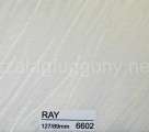 Ray 6602 Ray 6602
