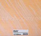 Ray 6609 Ray 6609